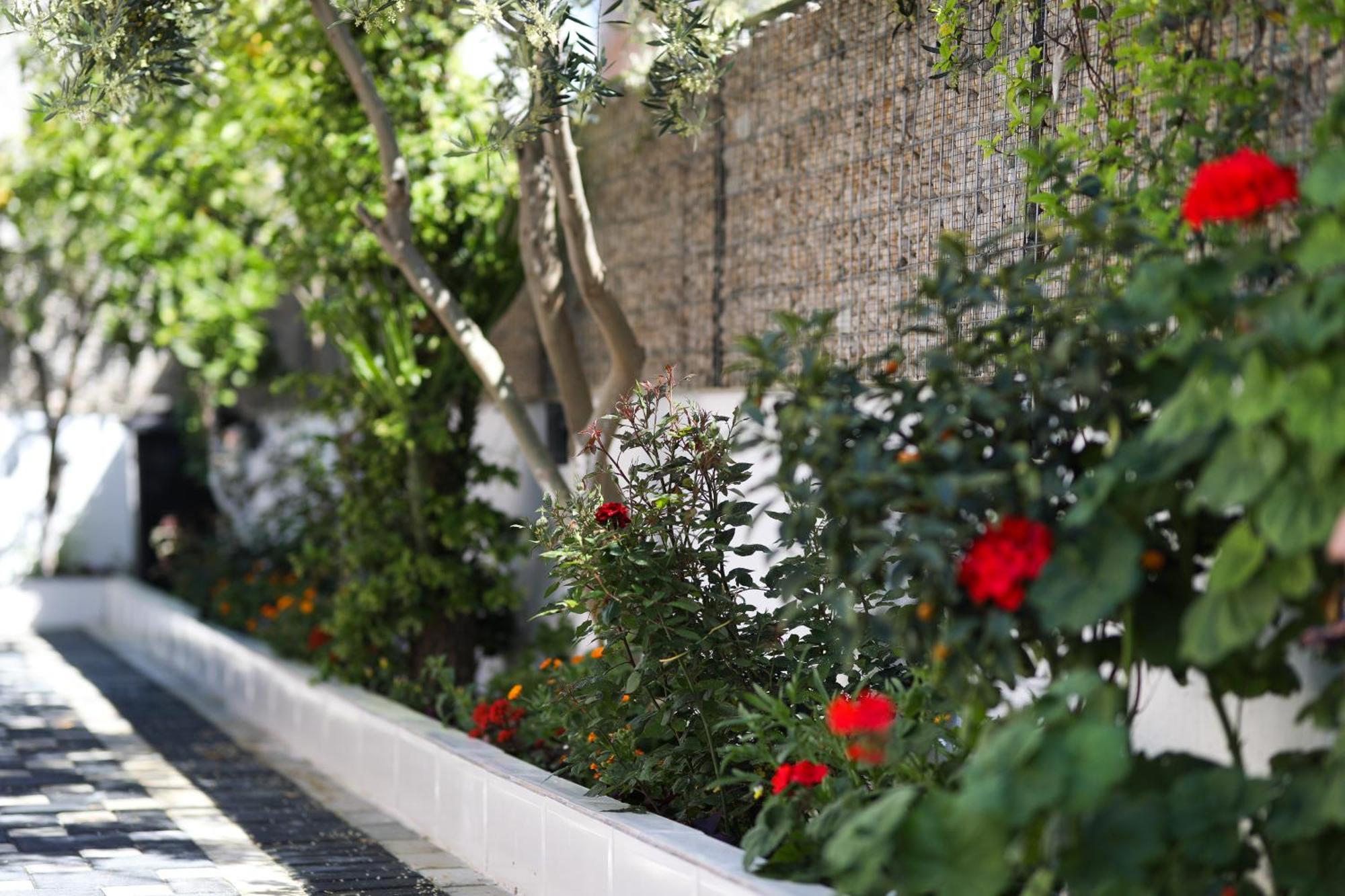 Vila Feliz - Premium Rooms With Free Private Parking Wlora Zewnętrze zdjęcie