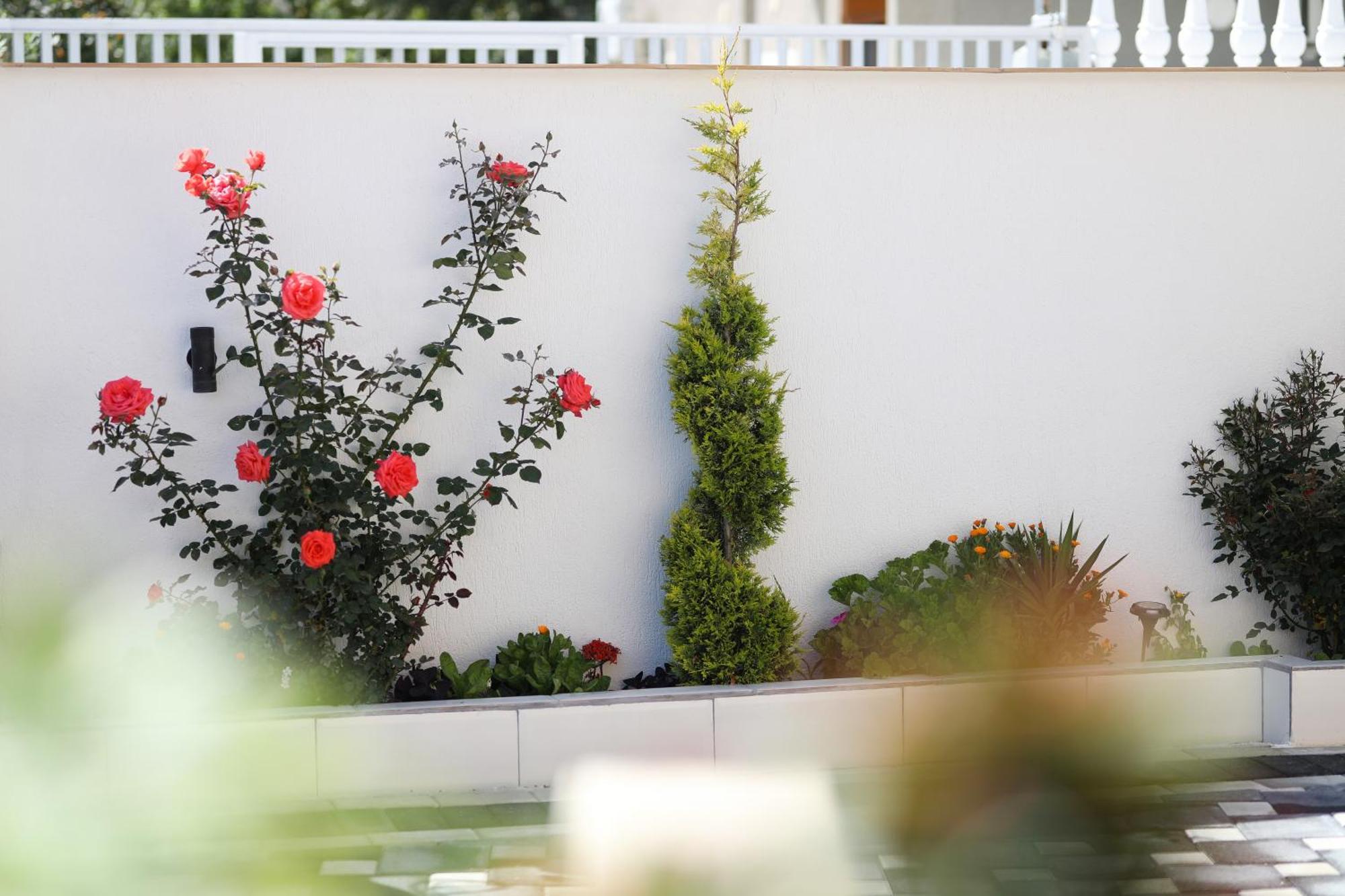 Vila Feliz - Premium Rooms With Free Private Parking Wlora Zewnętrze zdjęcie